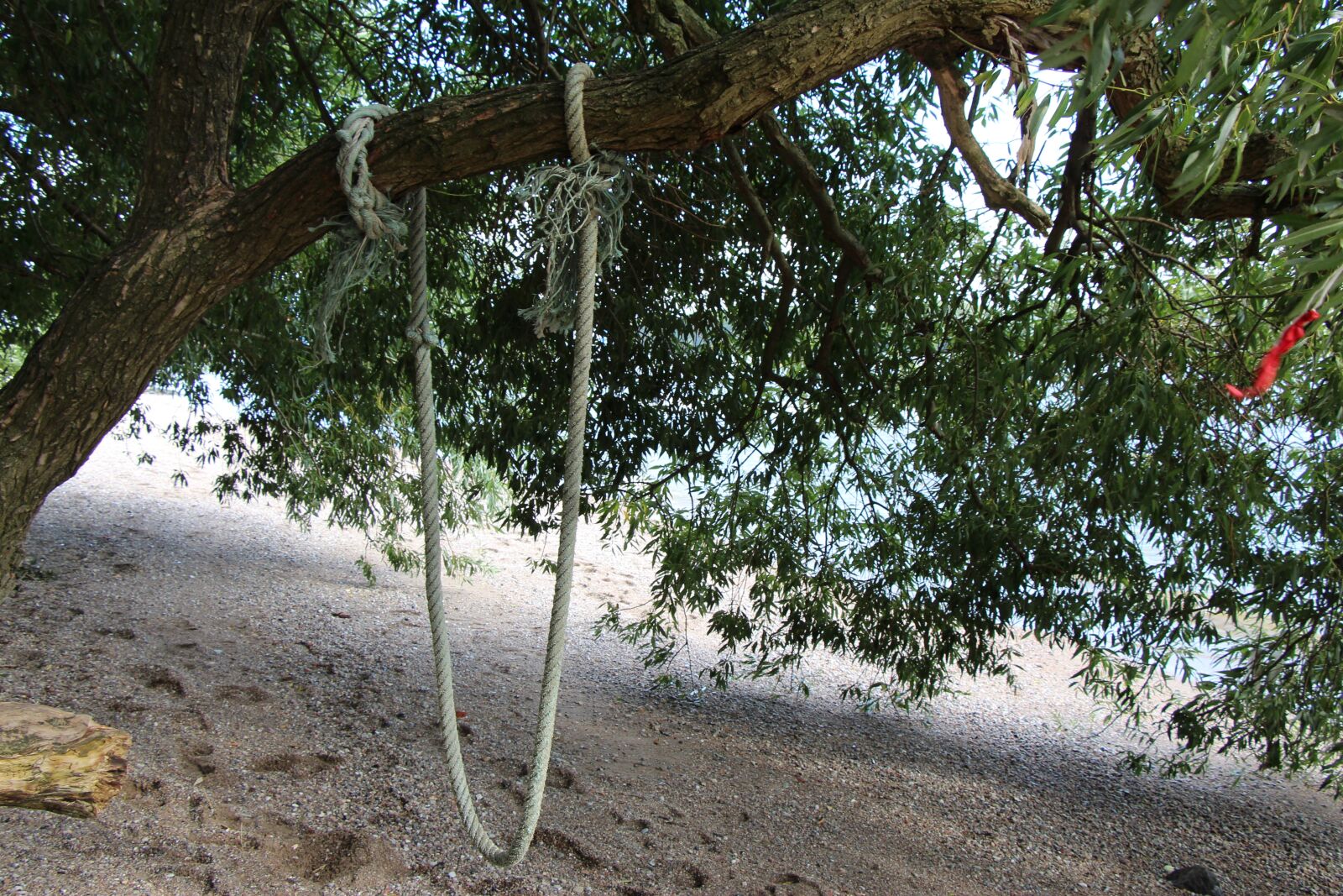 Canon EOS 650D (EOS Rebel T4i / EOS Kiss X6i) sample photo. Swing, rope, beach photography
