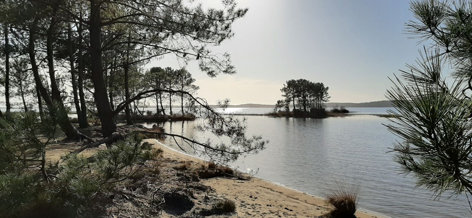 Samsung Galaxy A50 sample photo. Lake, lacanau, nature photography