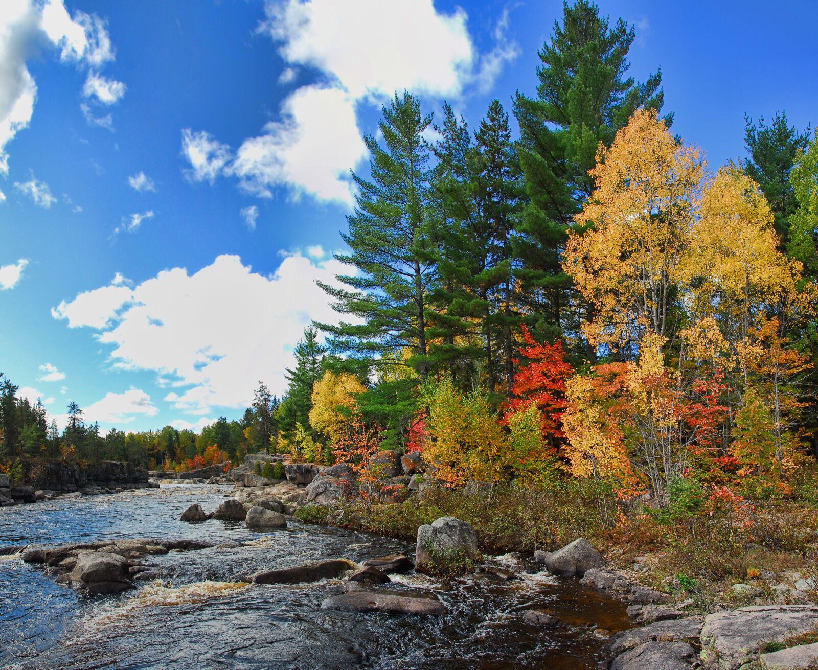 Nikon D200 sample photo. Autumn, fall, colors photography