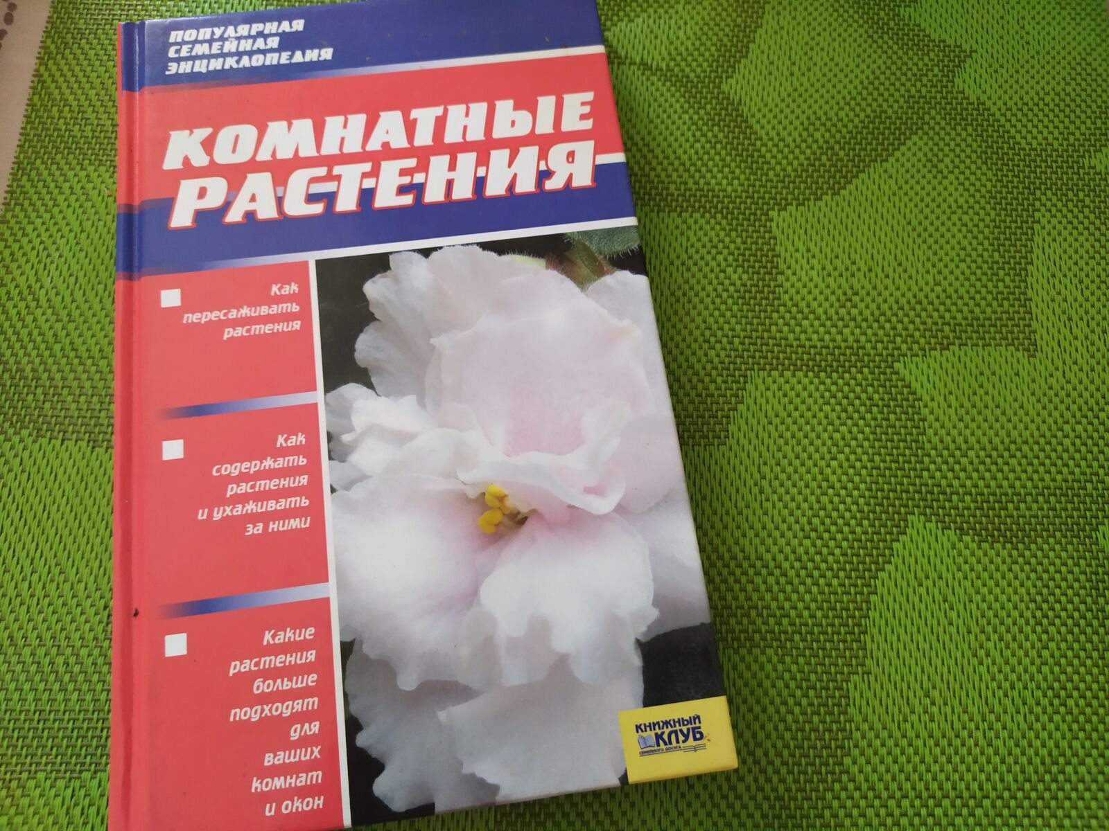 Xiaomi Redmi Note 7 sample photo. Book, the book on photography