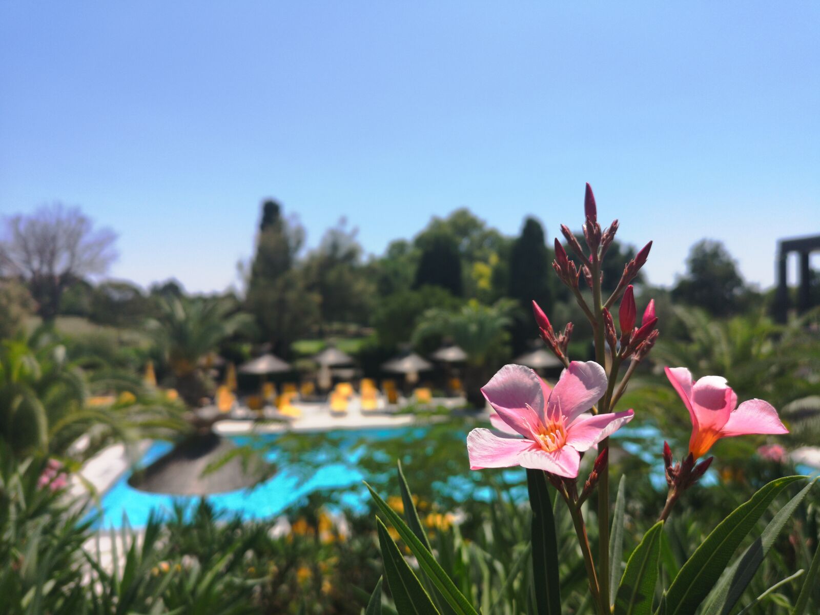 HUAWEI CLT-L09 sample photo. Swimming pool, holiday, holidays photography