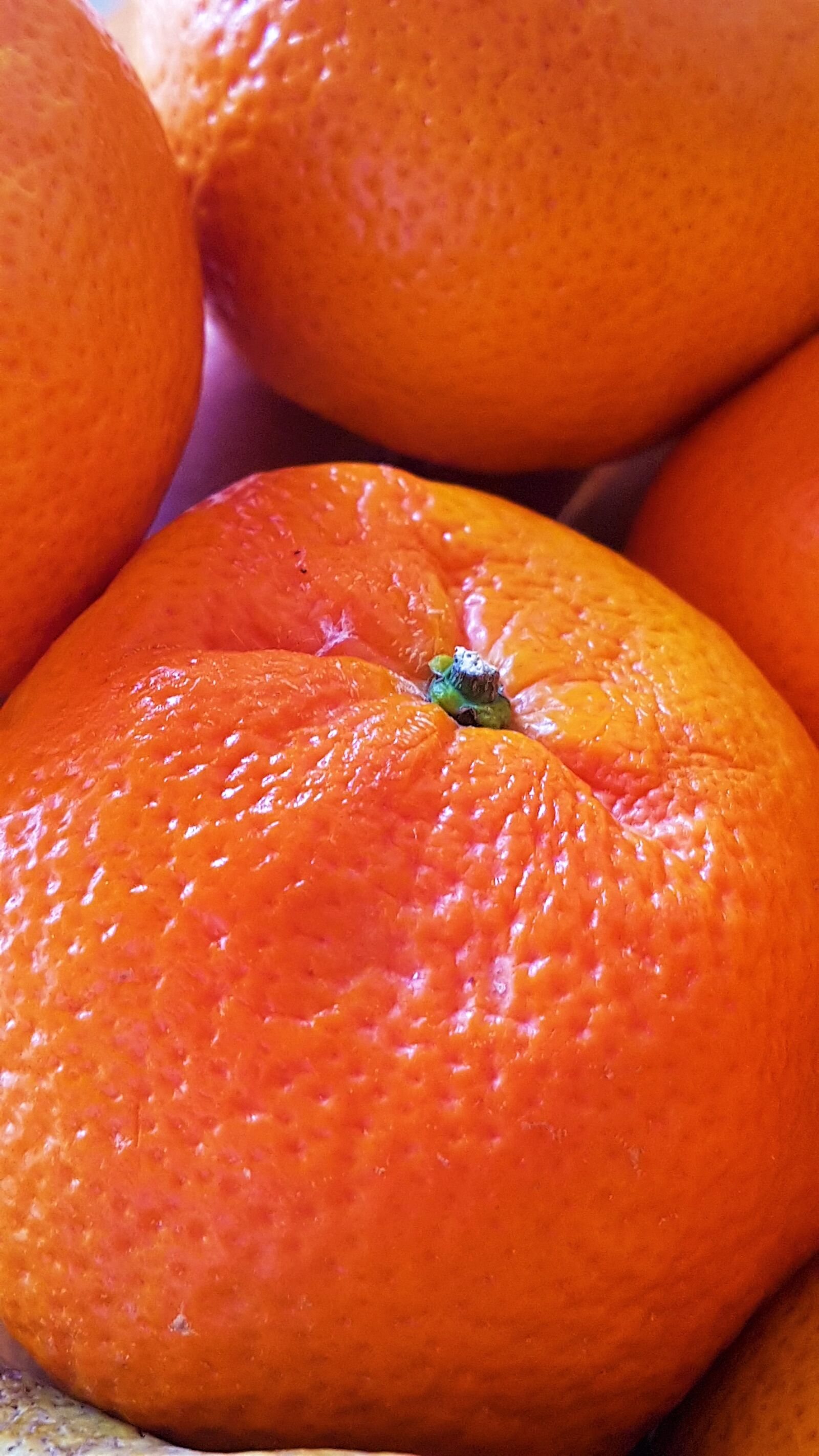 Samsung Galaxy S7 Edge sample photo. Mandarin orange, orange, fruit photography
