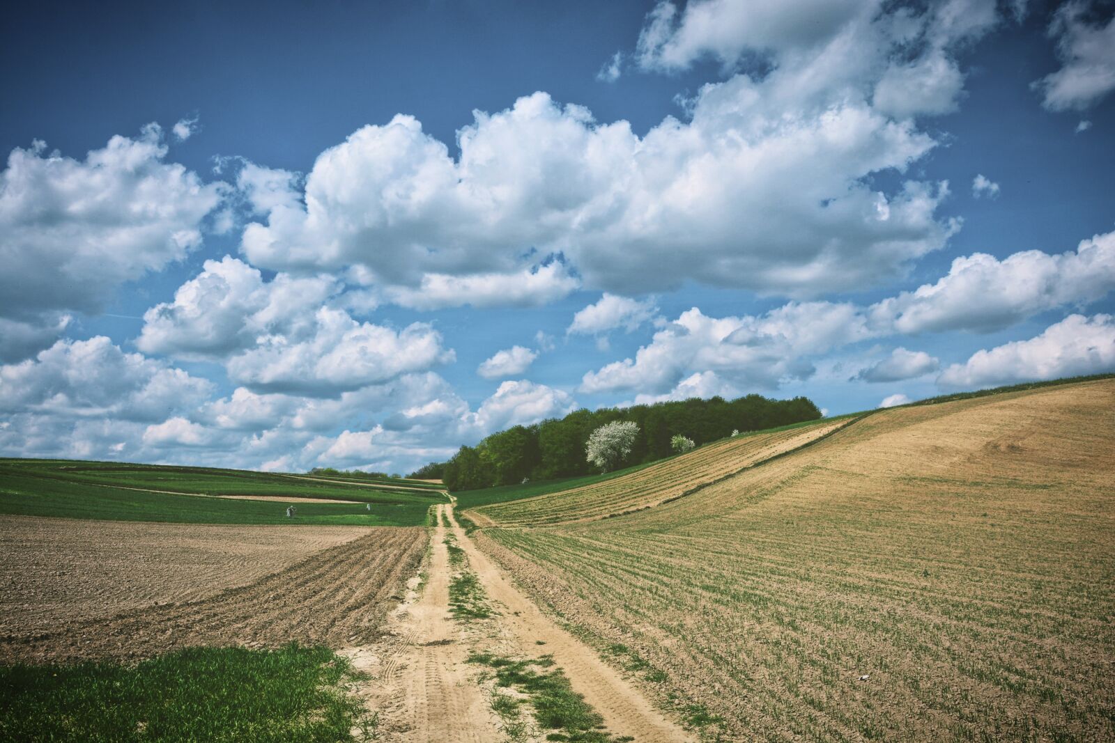 Nikon D7100 sample photo. Landscape, sky, spring photography