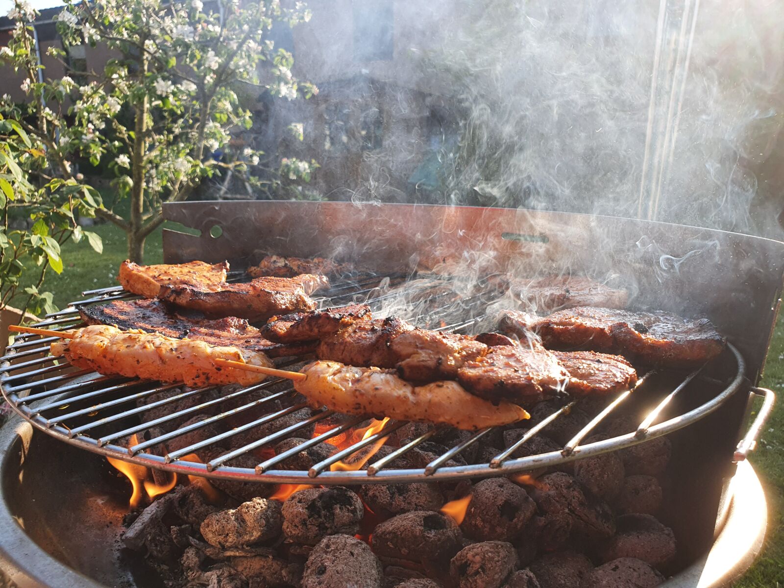 Samsung Galaxy S10 sample photo. Barbecue, grill, meat photography