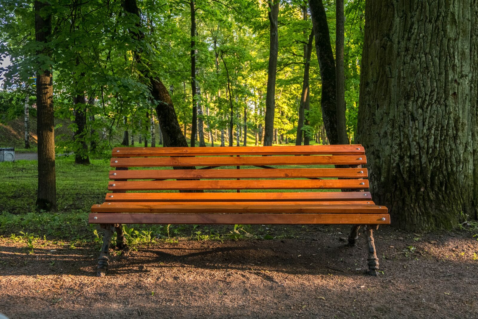 Fujifilm X-A2 + Fujifilm XC 16-50mm F3.5-5.6 OIS II sample photo. Bench, park, evening photography