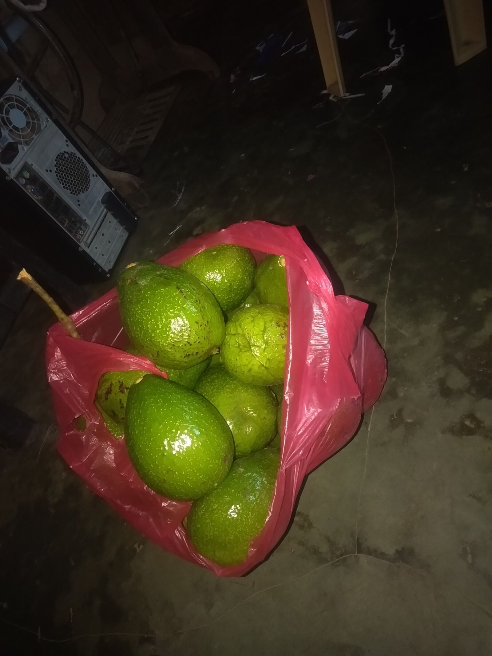OPPO A3S sample photo. Harvested avocado, farm, best photography