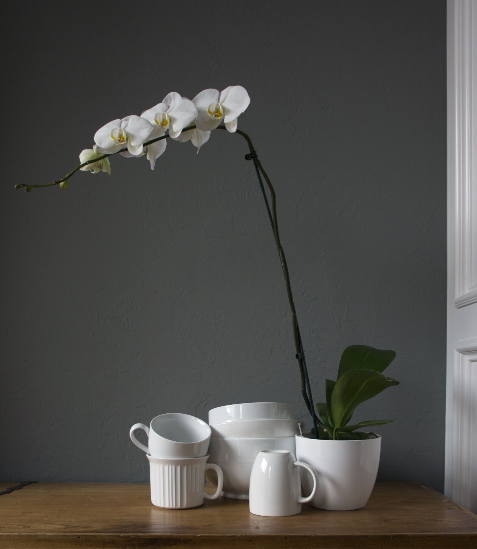 Sony Alpha NEX-5N sample photo. Orchids, cups, white photography