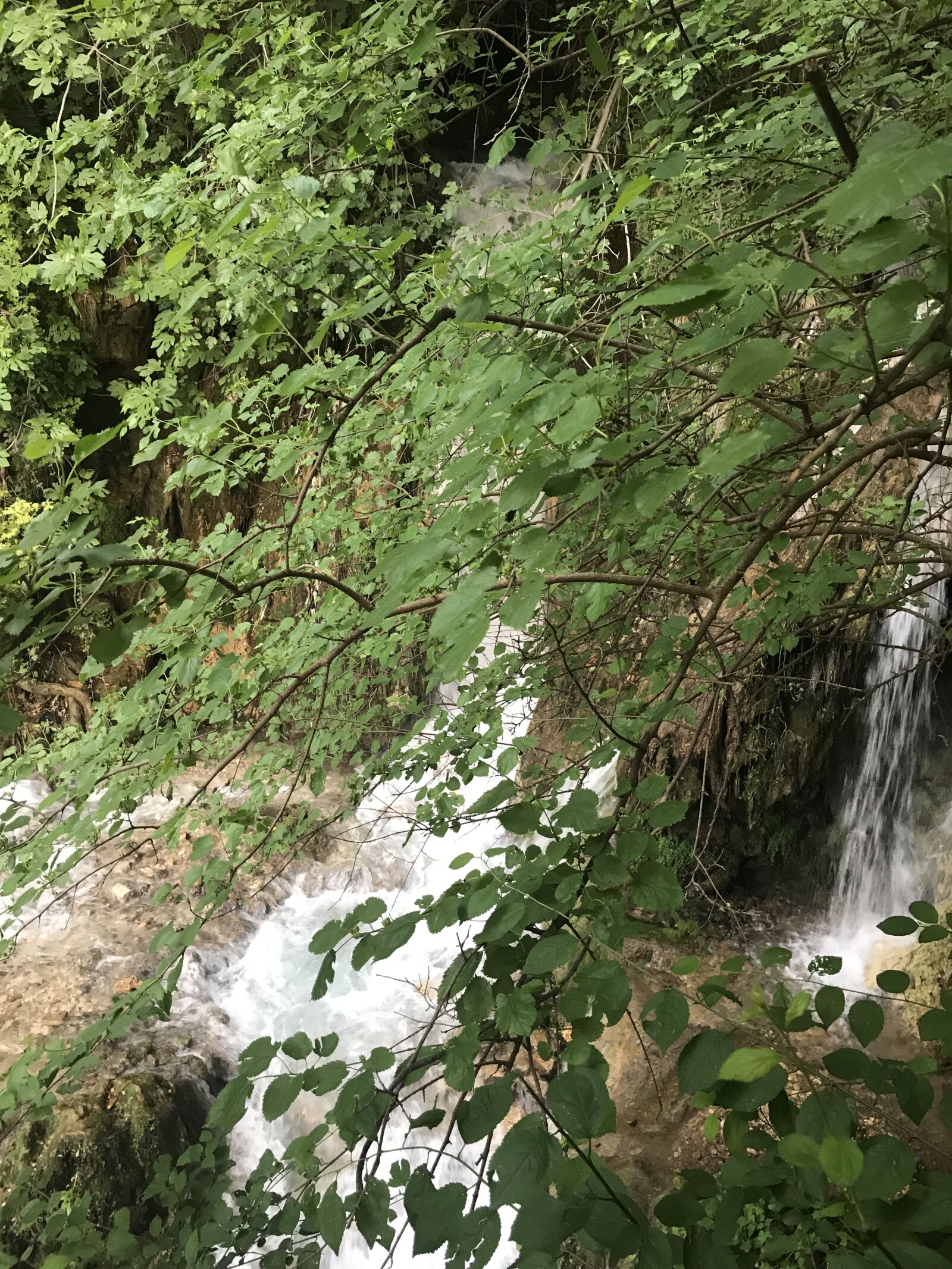Apple iPhone 7 sample photo. Waterfall, nature, landscape photography