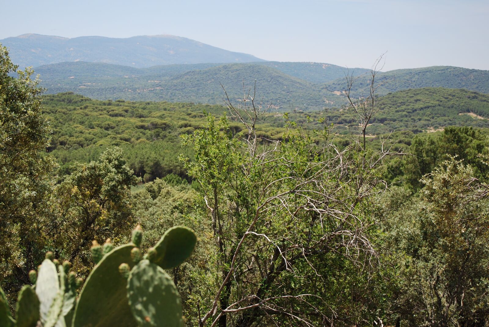 Nikon D60 sample photo. Valley, landscape, nature photography