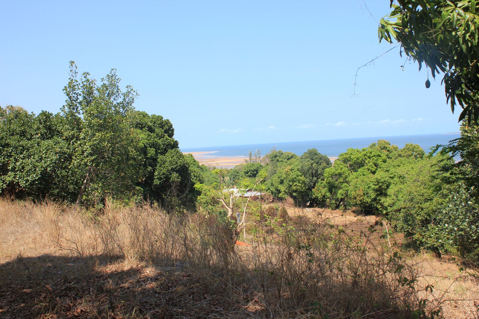 Canon EOS 550D (EOS Rebel T2i / EOS Kiss X4) sample photo. Madagascar, analalava, afrique photography