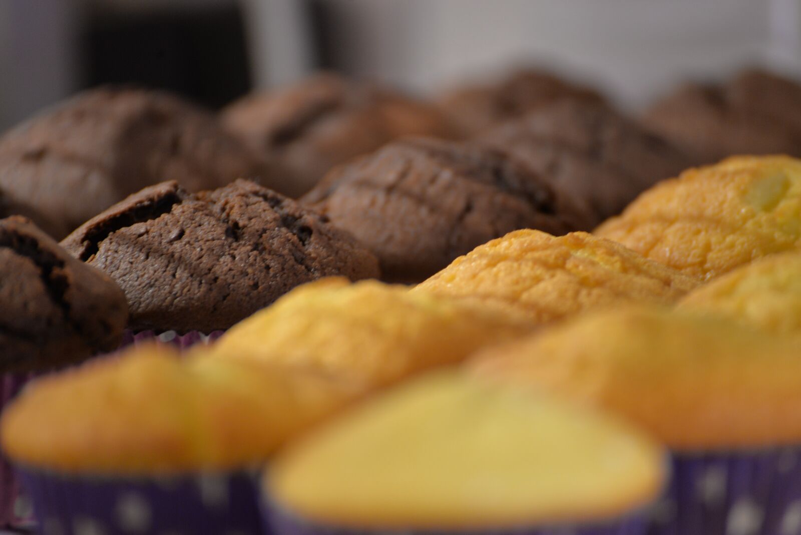 Nikon D610 sample photo. Pastry, cakes, dessert photography