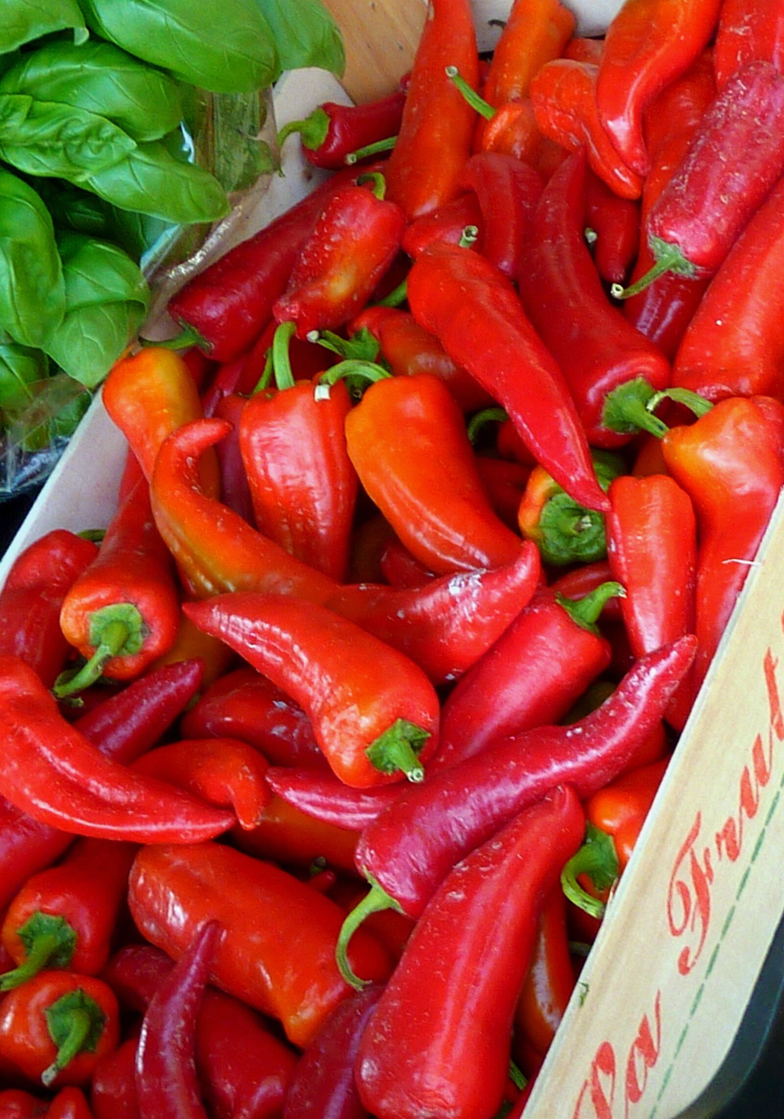 Panasonic DMC-TZ7 sample photo. Paprika, pointed pepper, vegetables photography