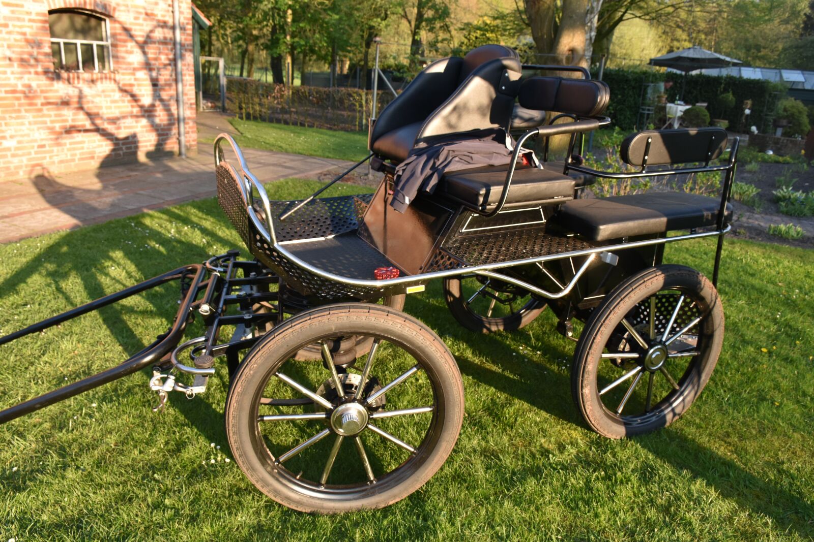 Nikon D5500 sample photo. Horse drawn carriage, without photography