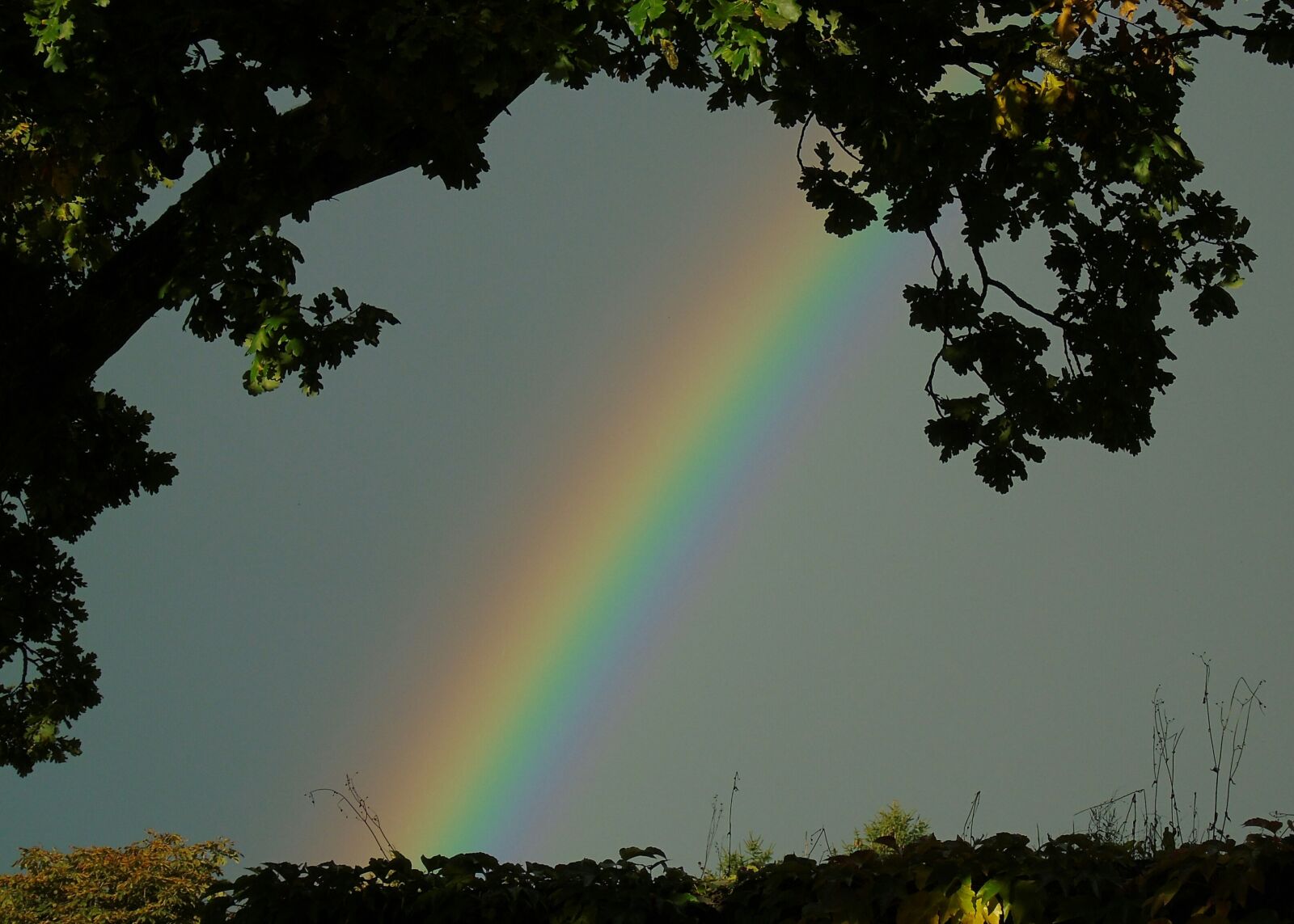 Sony Cyber-shot DSC-H400 sample photo. Rainbow, rain, color photography