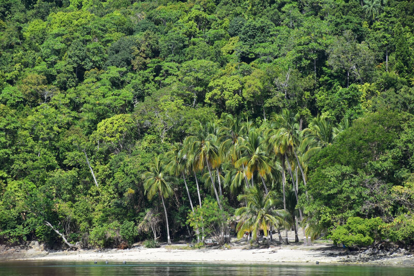 Nikon D5500 sample photo. Philippines, beach, tropical photography