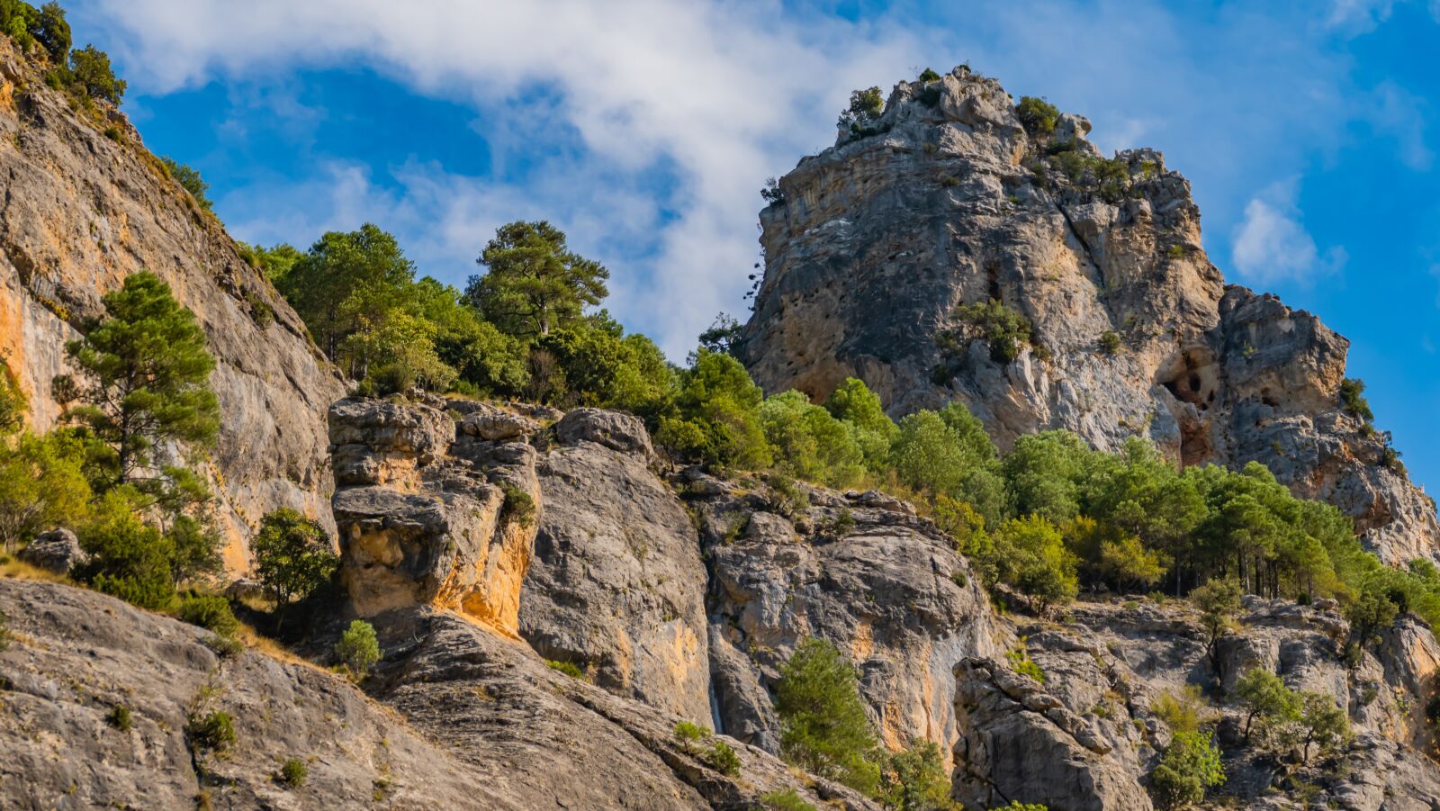 Panasonic DC-FZ10002 sample photo. Trees, mountain, cliffs photography