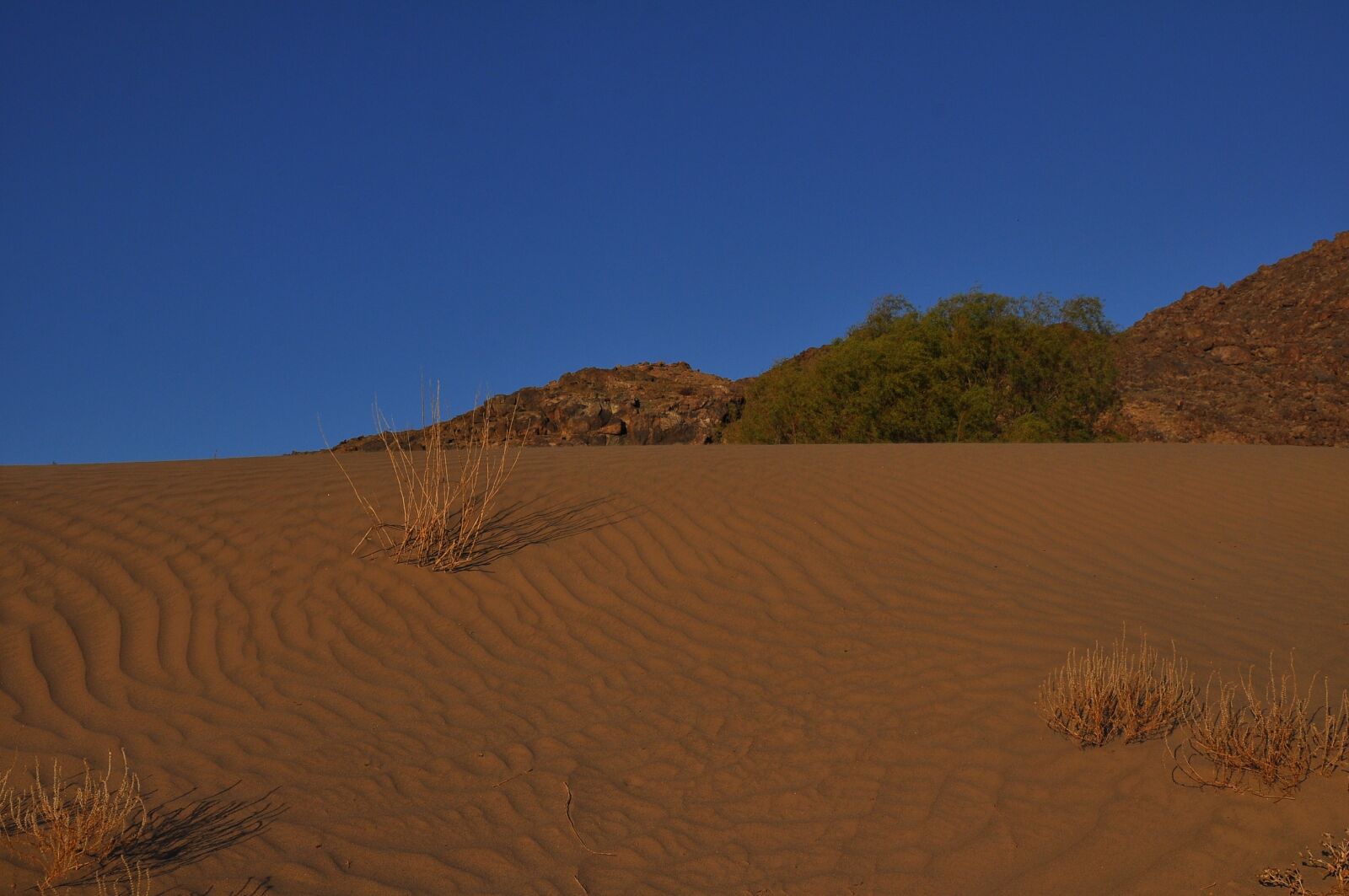 Nikon D90 sample photo. Desert, arid, sand photography