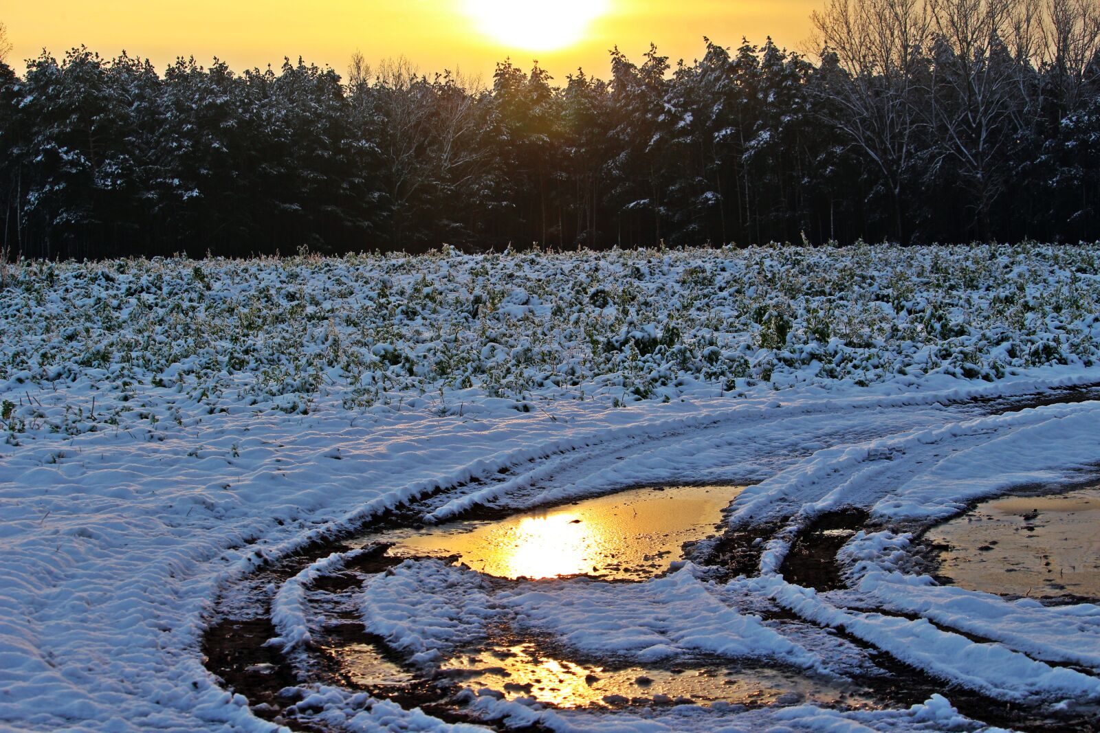 Canon EOS 100D (EOS Rebel SL1 / EOS Kiss X7) sample photo. Snow, winter, sunset photography