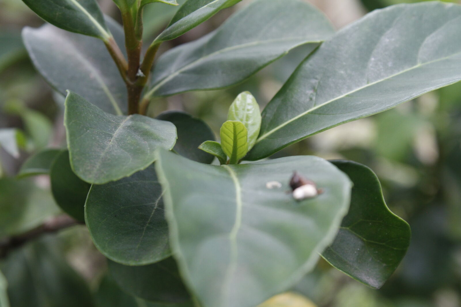 Canon EOS 7D sample photo