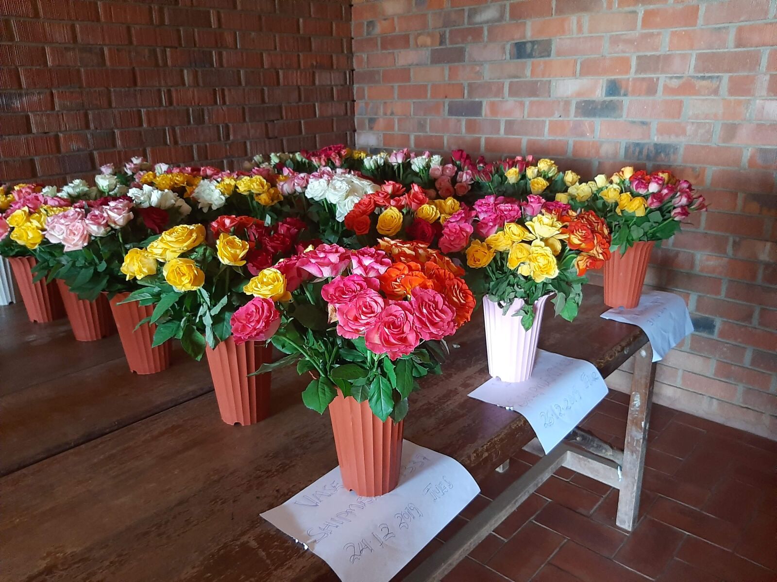 Samsung SM-A307FN sample photo. Flowers, roses, bouquets photography
