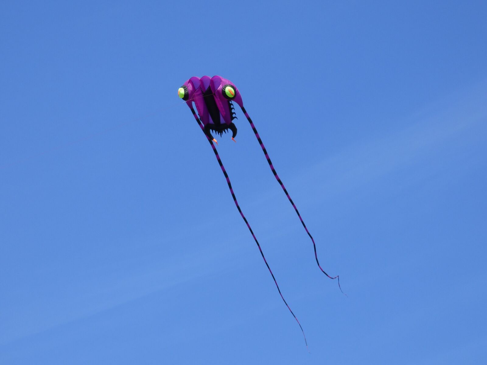 Panasonic DMC-FZ72 sample photo. Wind dragon, dragon, kite photography