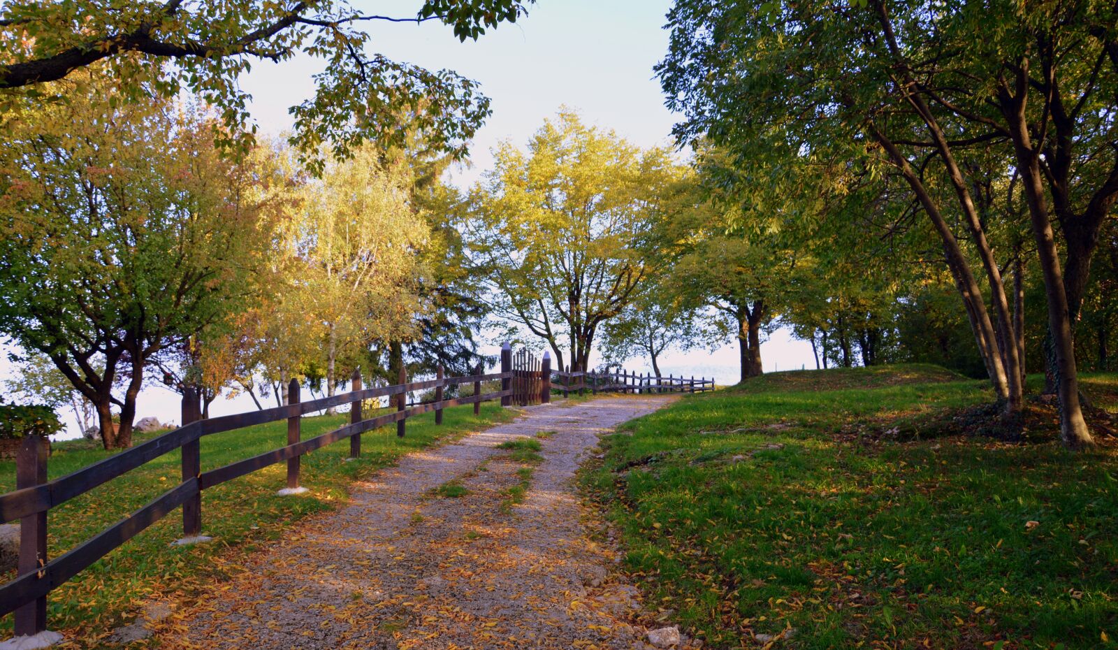 Nikon D7100 sample photo. Excursion, trail, autumn photography