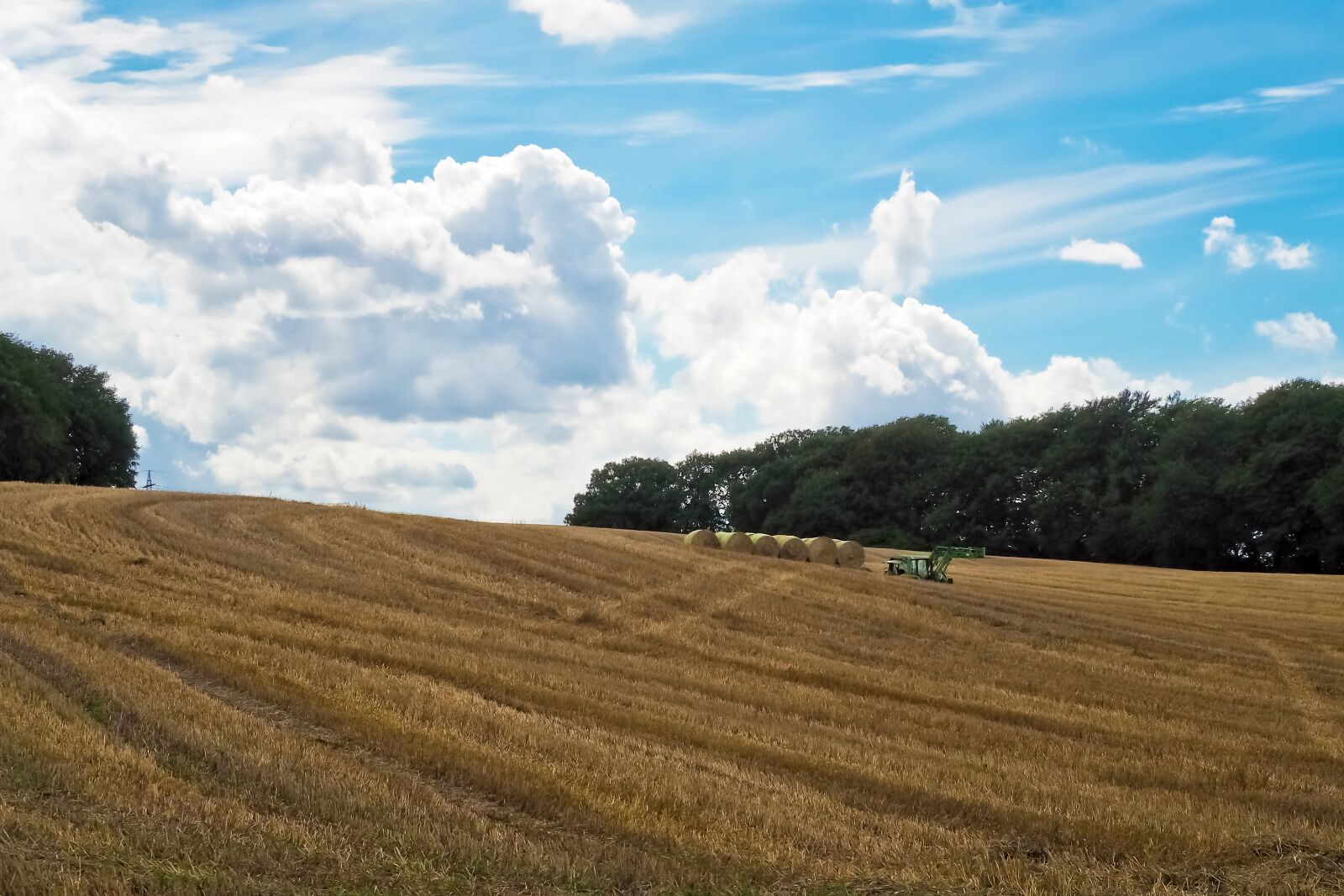 Olympus OM-D E-M10 sample photo. Landscape, field, nature photography