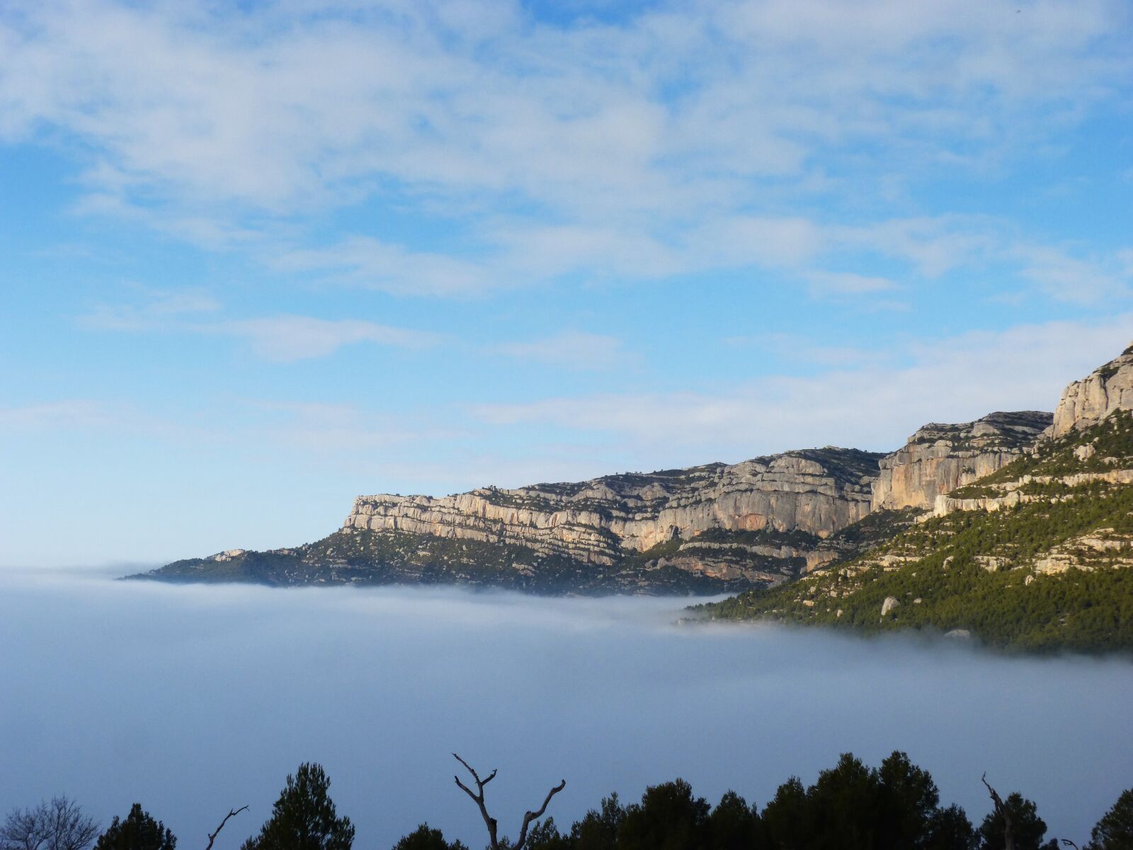 Panasonic DMC-FZ62 sample photo. Fog, sea ​​fog, fogging photography
