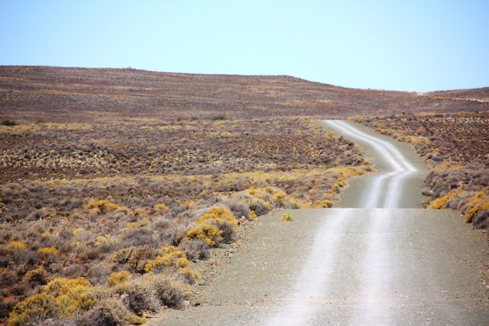 Canon EOS 450D (EOS Rebel XSi / EOS Kiss X2) sample photo. Karoo, gravel road, desert photography