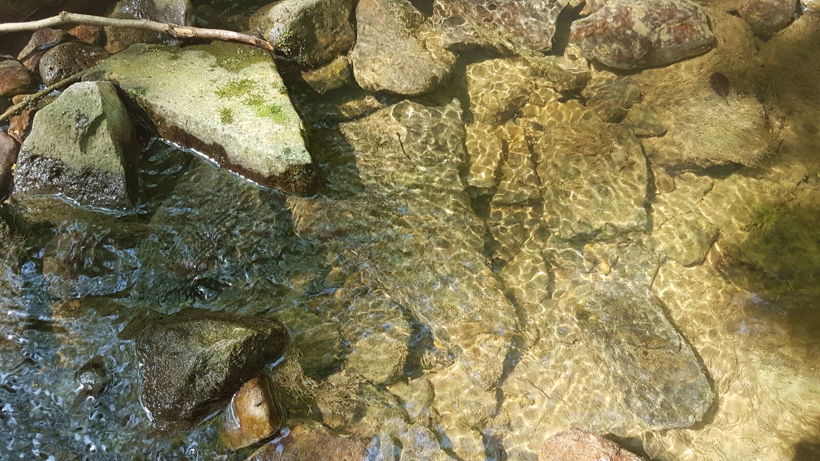 Samsung Galaxy S7 sample photo. Refreshment, source, fresh photography