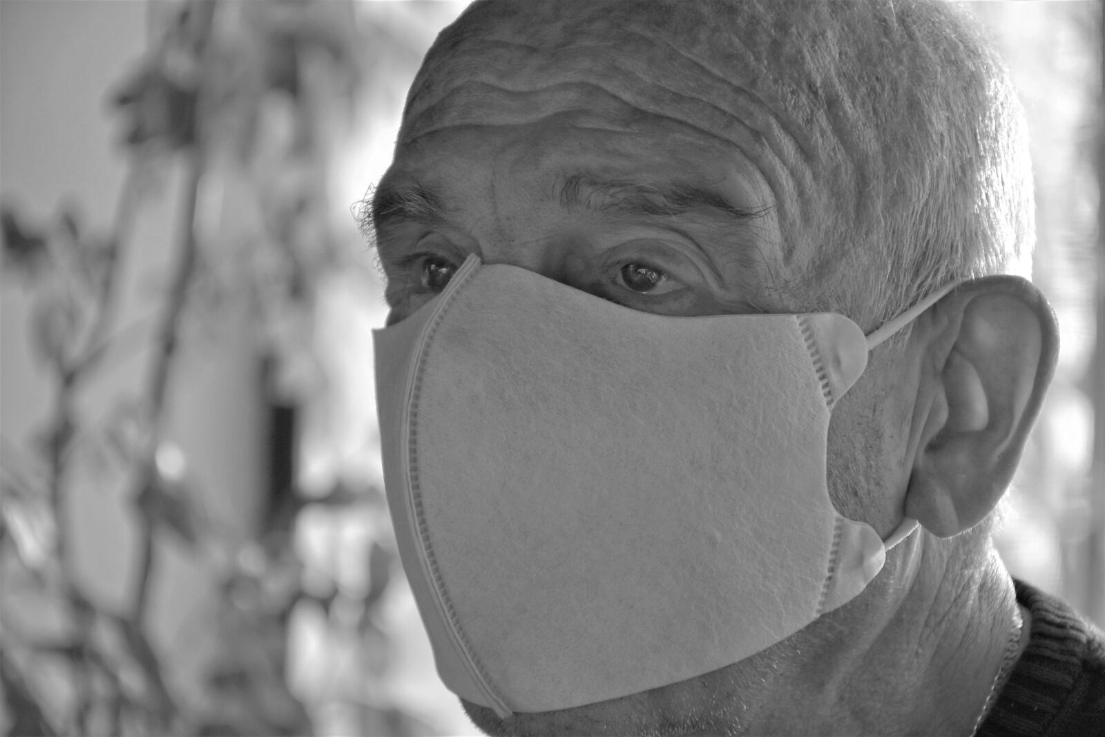 Nikon D7200 sample photo. Senior, covid, corona virus photography