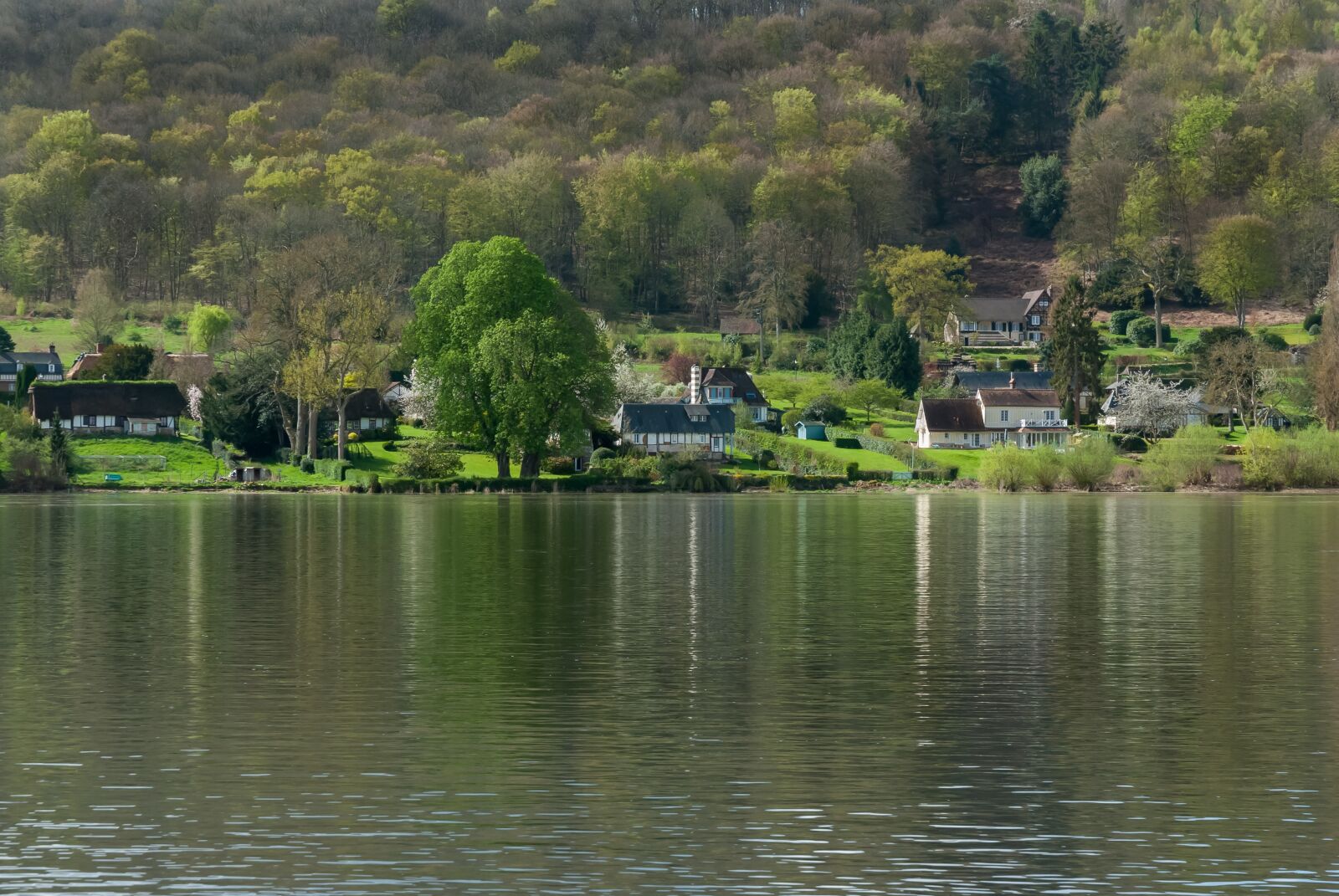 Nikon D80 sample photo. Body of water, river photography