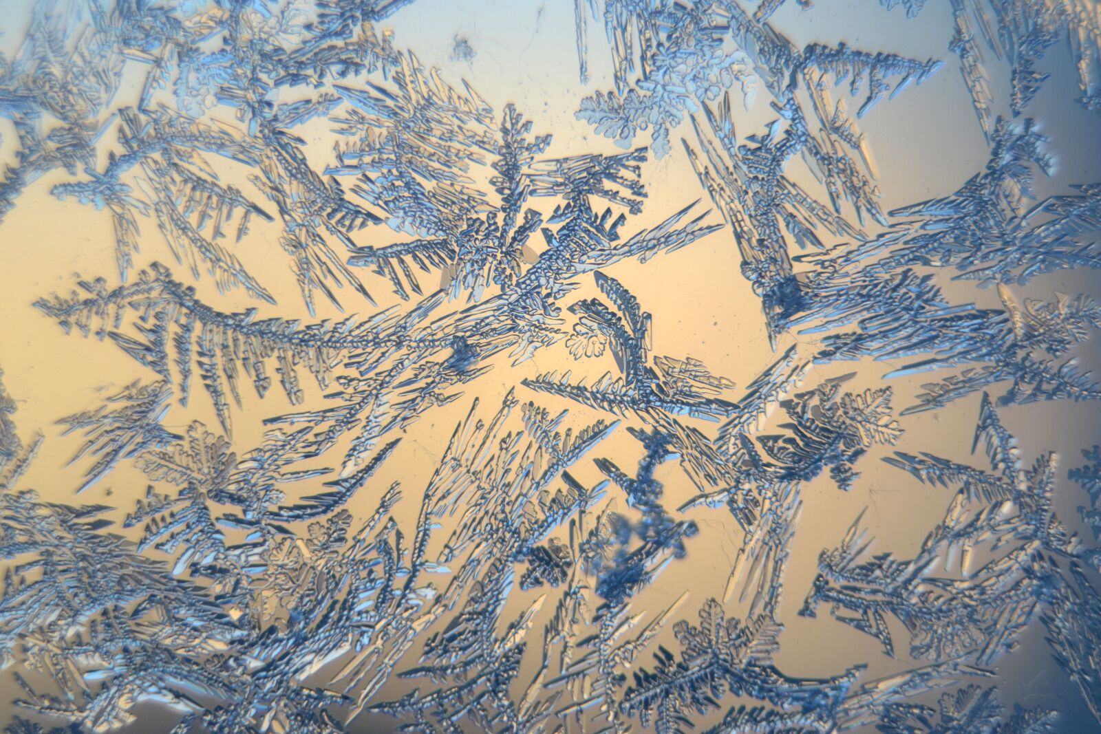 Nikon D3100 sample photo. Snow crystals, winter, frosty photography