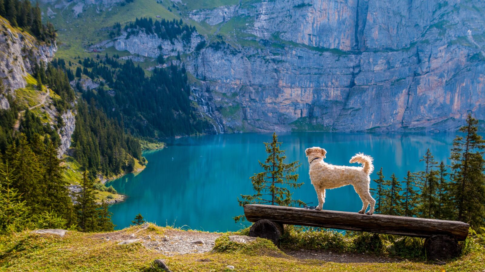 Canon EOS 70D sample photo. View, bergsee, bank photography