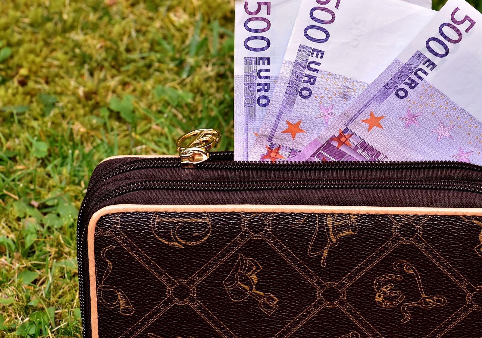 Nikon D7200 sample photo. Purse, seem, bank note photography