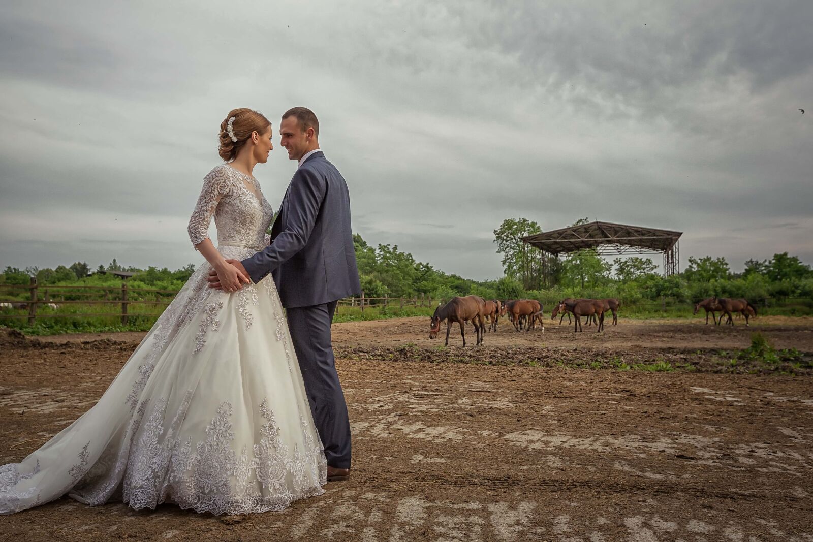 Canon EF 16-35mm F2.8L II USM sample photo. Ranch, groom, livestock, horses photography