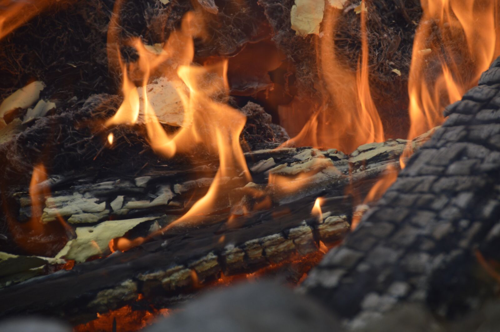 Nikon D3200 sample photo. Fire, burn, campfire photography
