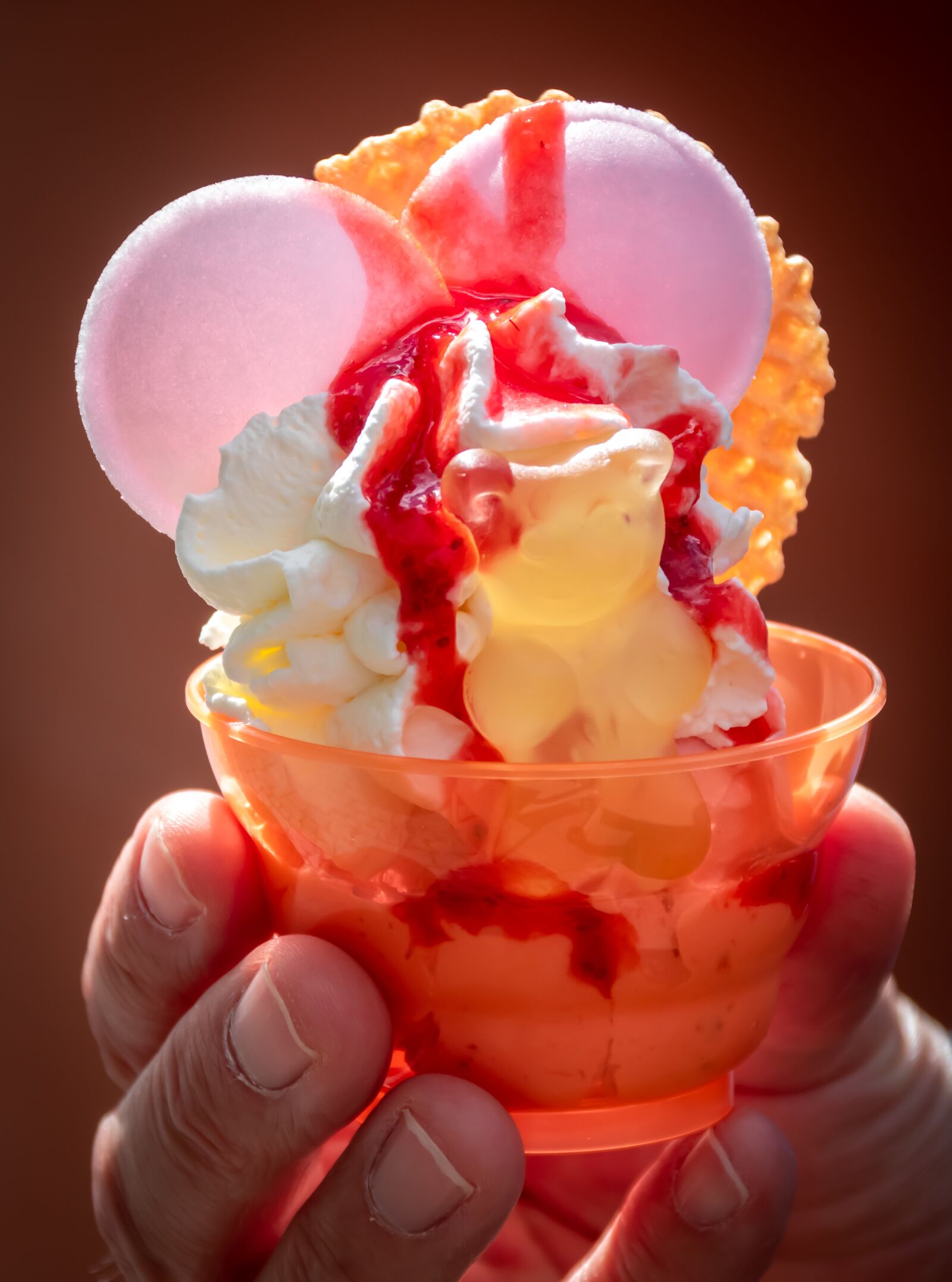 Canon EOS 80D sample photo. Ice, ice cream, sweet photography