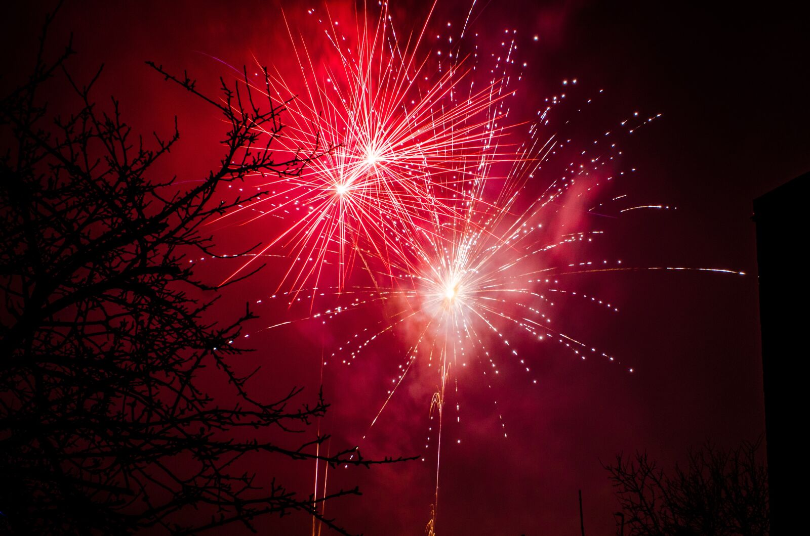 Nikon D7000 sample photo. Fireworks, christmas, celebration photography