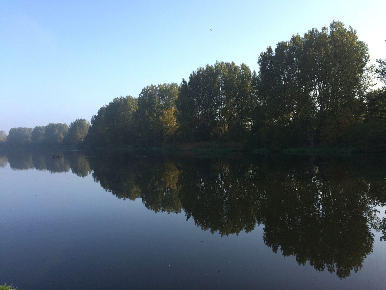 Apple iPhone 5s sample photo. Pond, reflection, nature photography