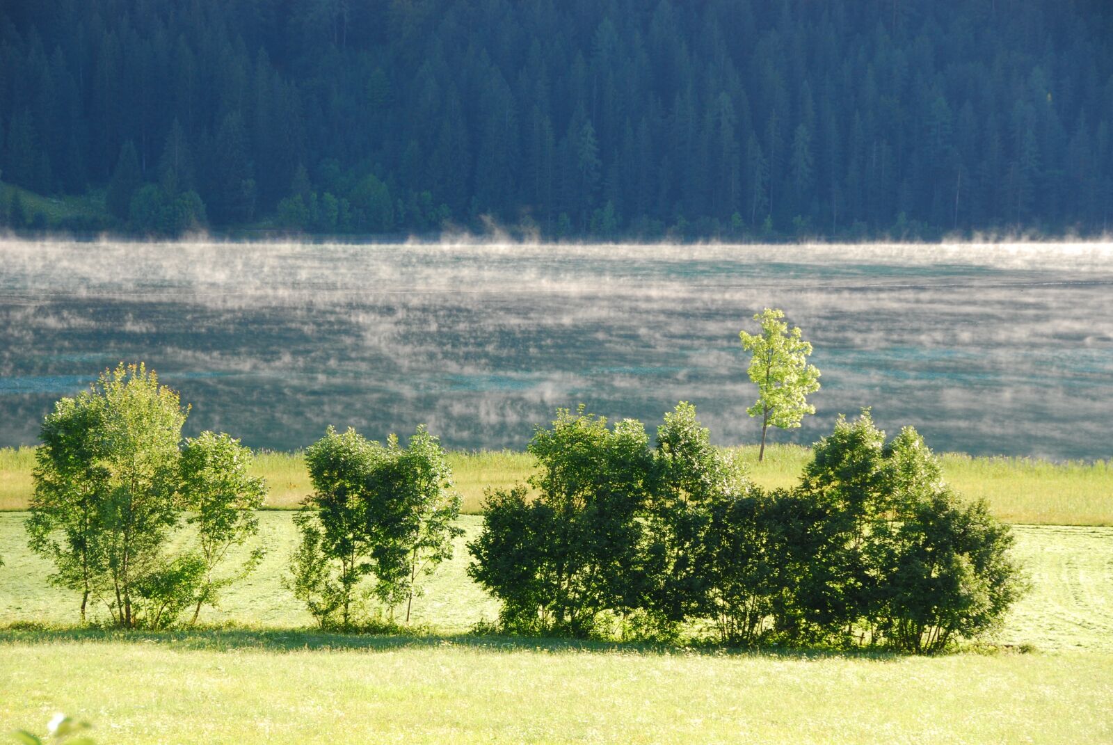 Nikon D80 sample photo. Lake, fog, landscape photography