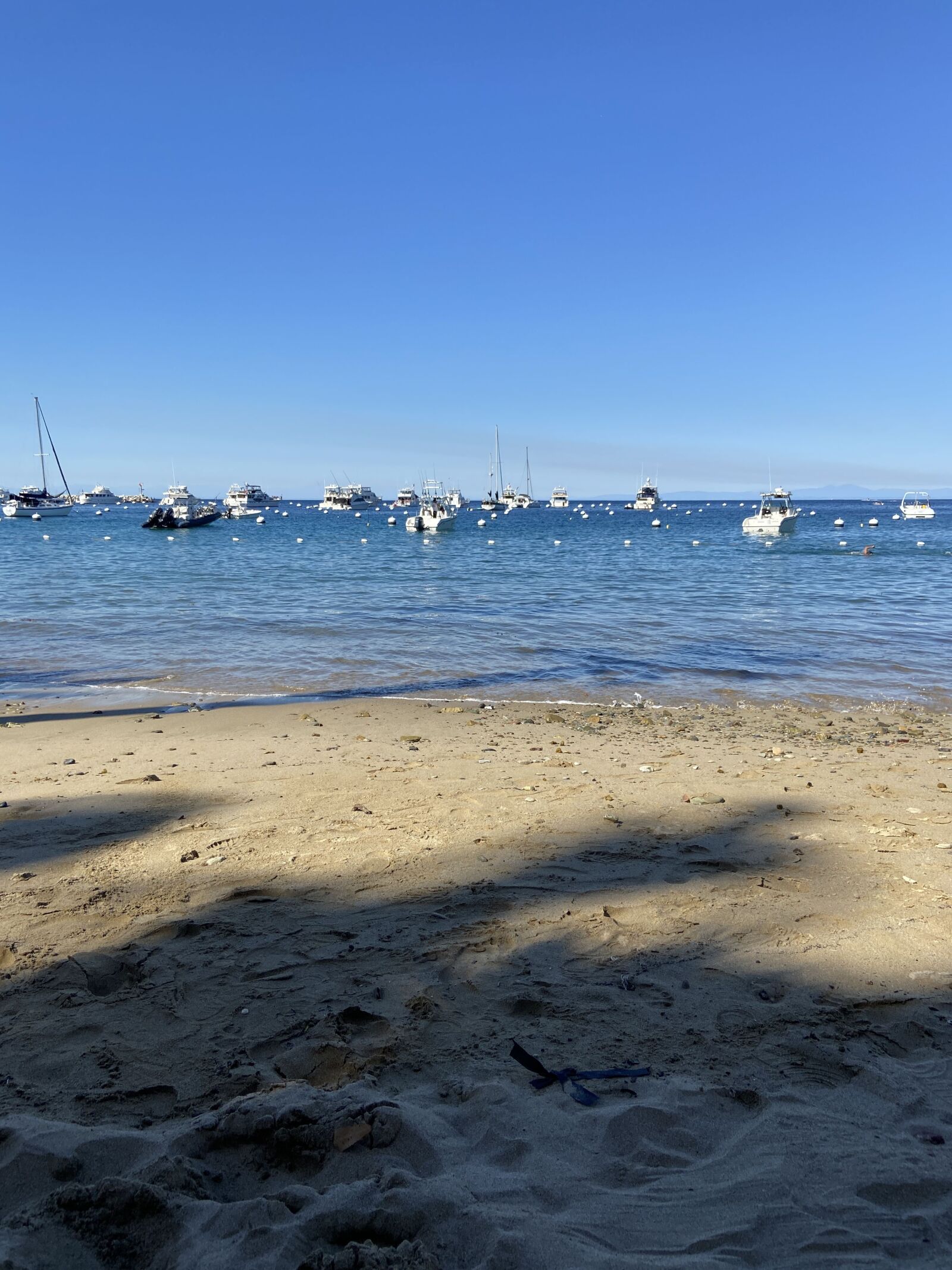 Apple iPhone 11 sample photo. Catalina island, travel, beach photography