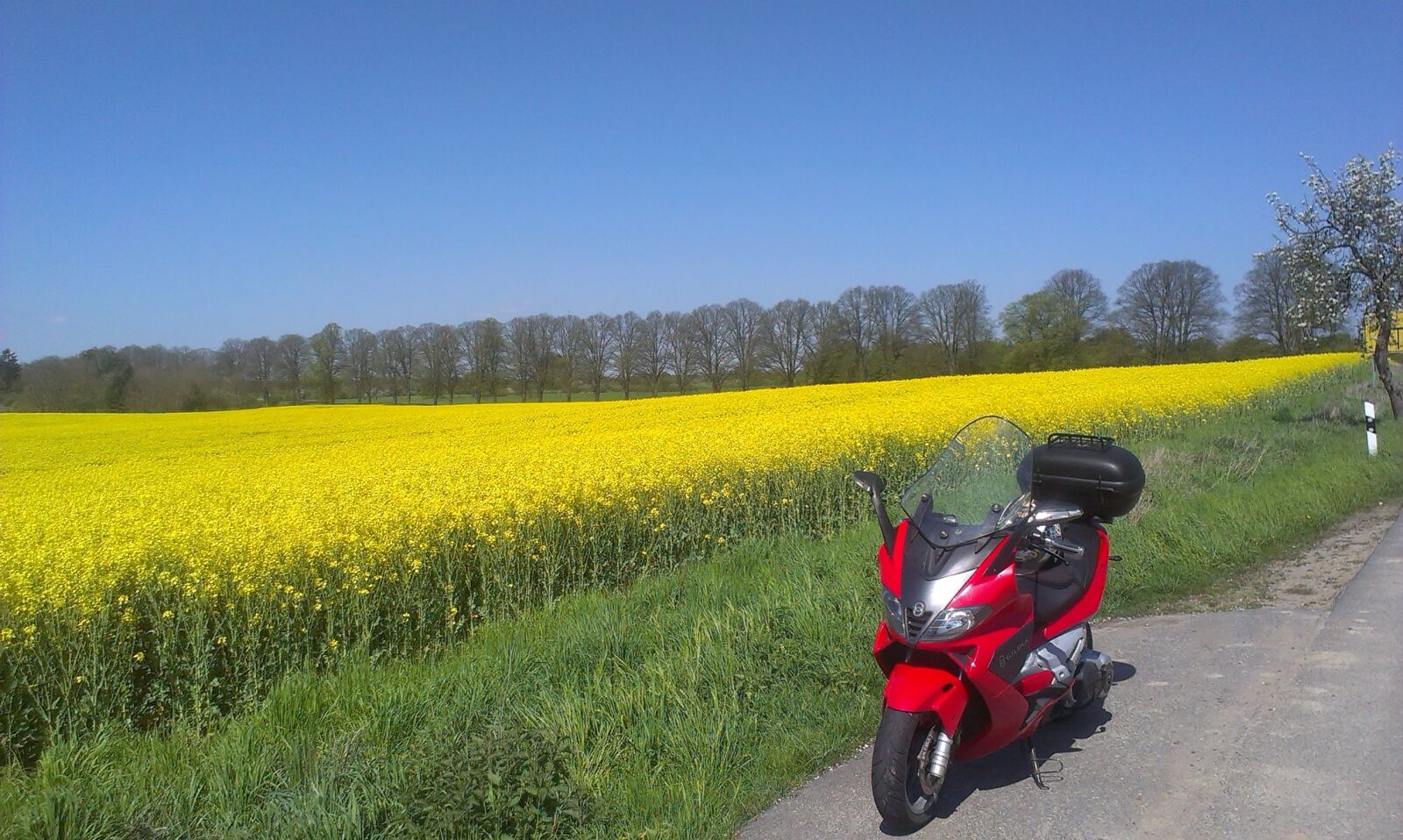 HTC DESIRE X sample photo. Motorcycle, oilseed rape, field photography