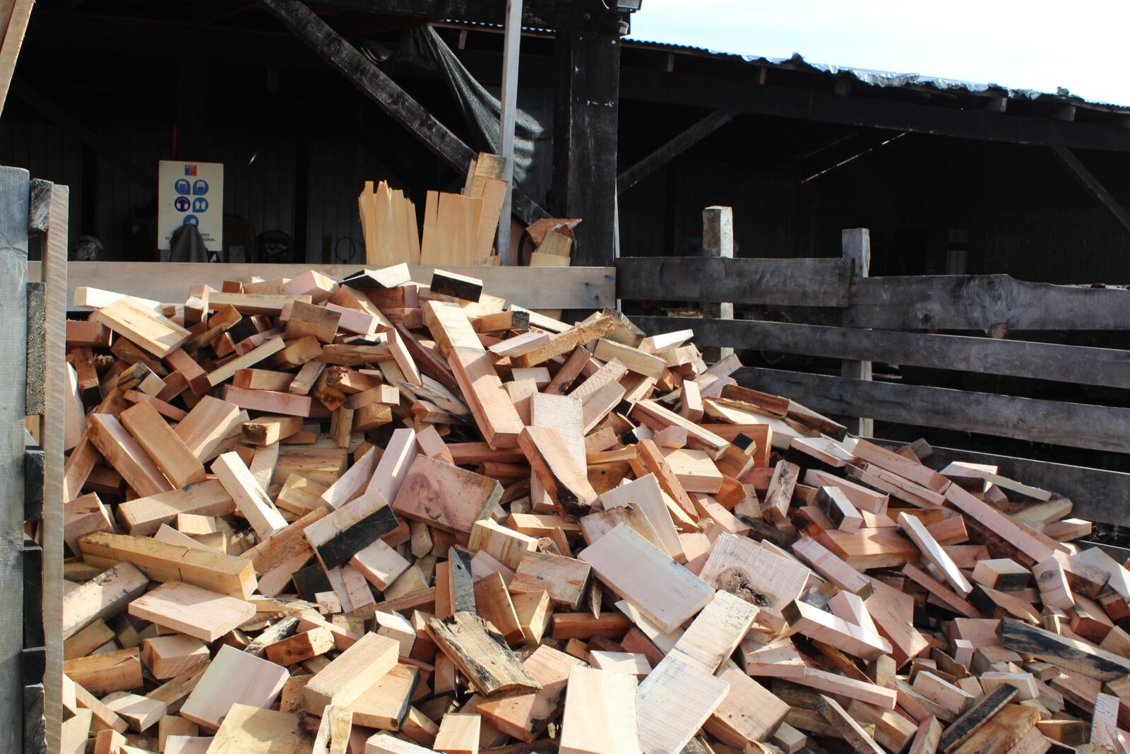 Canon EOS 1300D (EOS Rebel T6 / EOS Kiss X80) sample photo. Wood, sawmill, topping photography