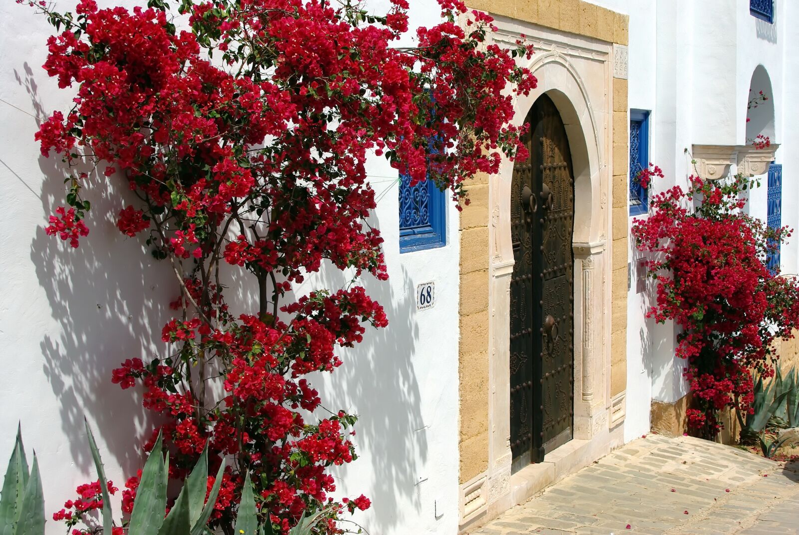 Pentax K200D sample photo. Tunisia, sidi bou sa photography