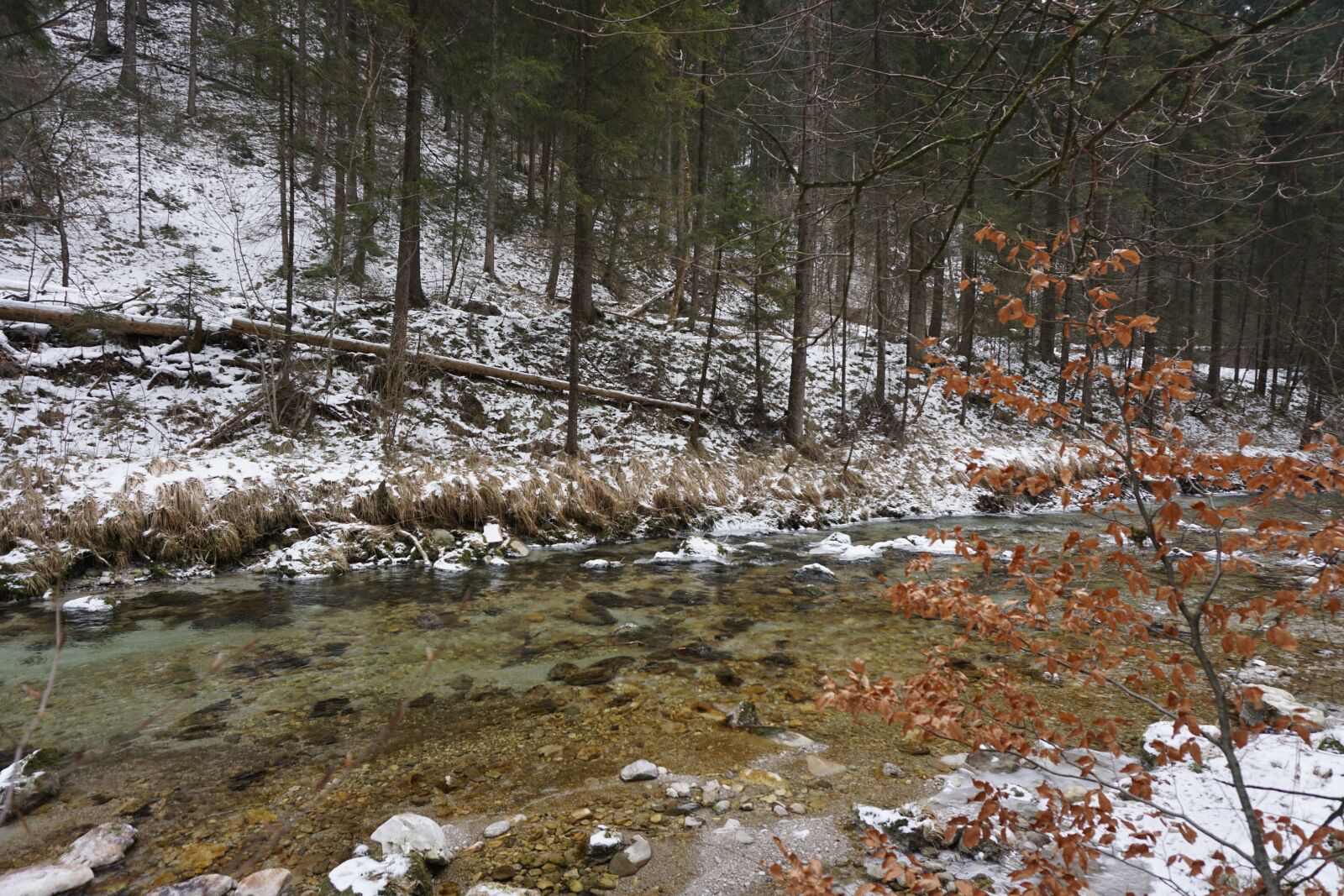 Sony a6000 sample photo. Winter, river, cold photography