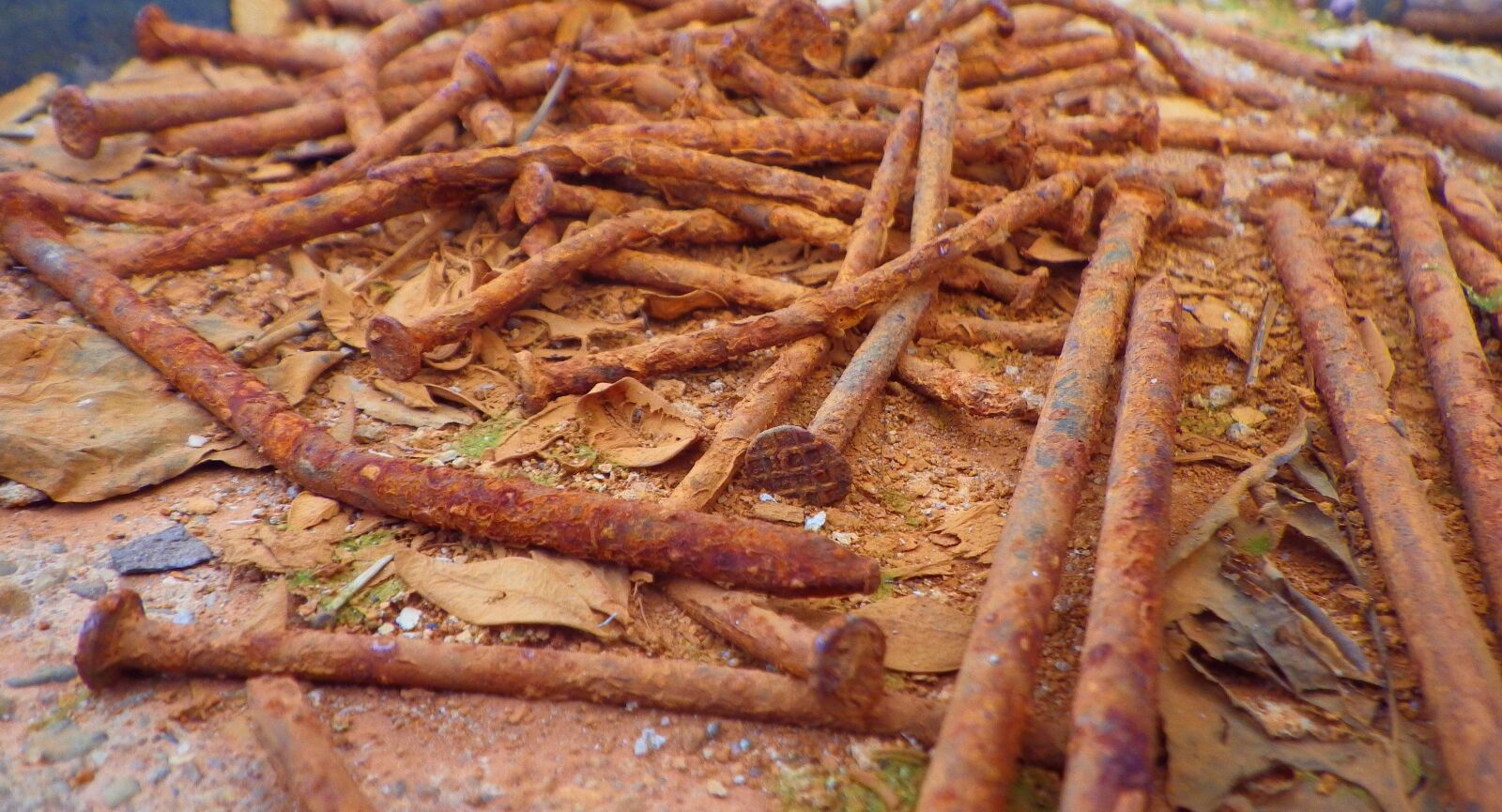 Pentax Optio WG-2 sample photo. Rust, metal, iron photography