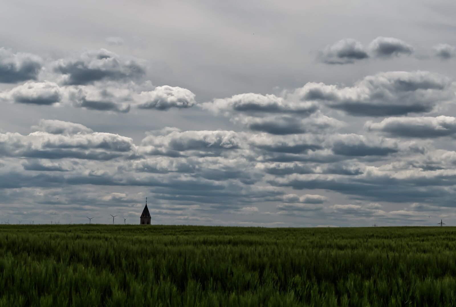 Nikon D5500 sample photo. Field, green, sky photography