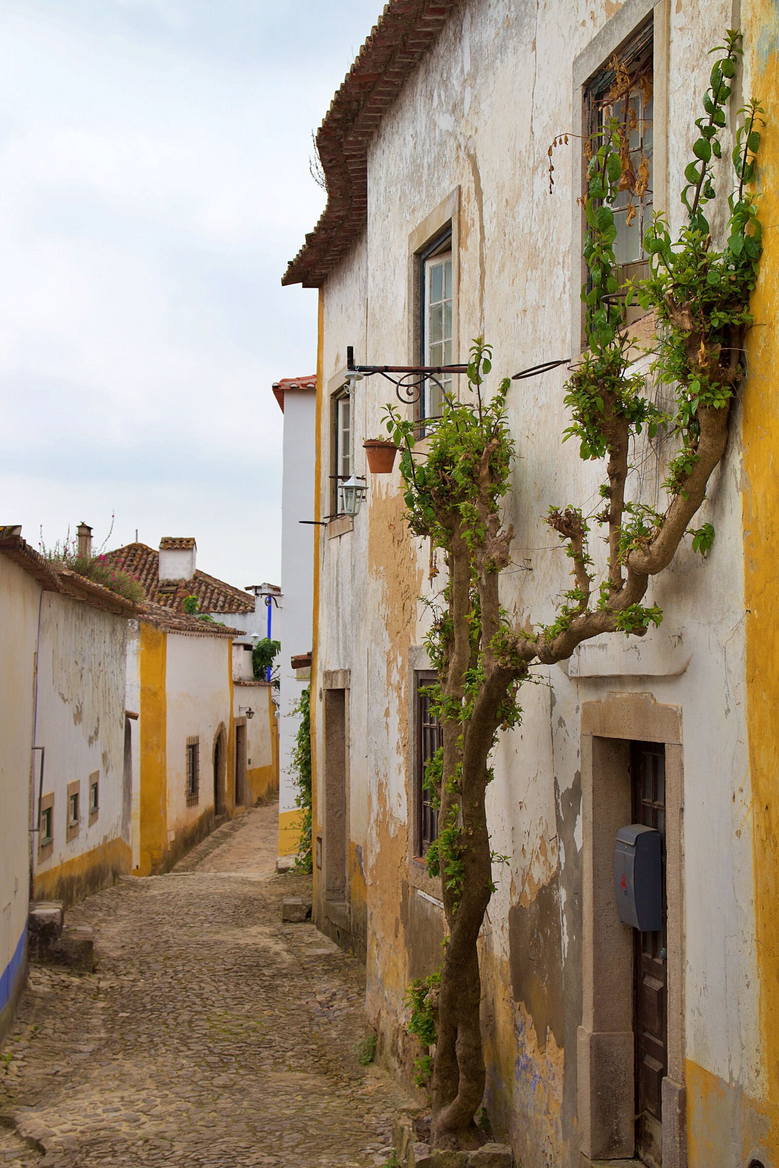 Canon EOS 600D (Rebel EOS T3i / EOS Kiss X5) sample photo. Portugal, obidos, óbidos photography