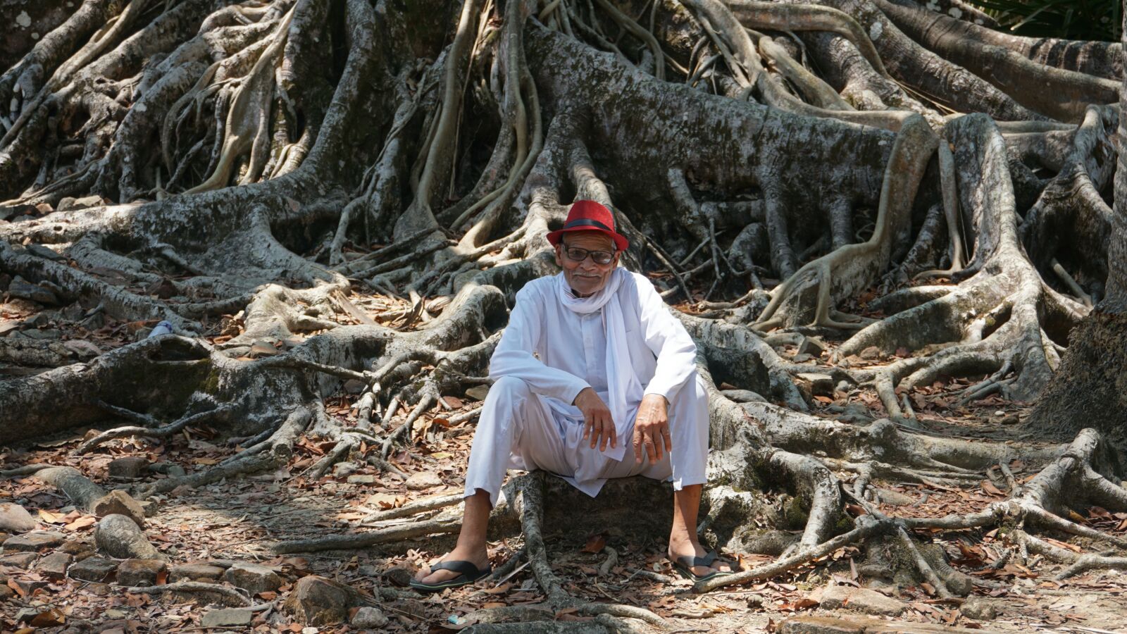 Sony a6300 sample photo. Happy, old, men photography